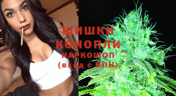 твердый Лиски