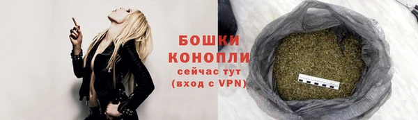 PSILOCYBIN Магас