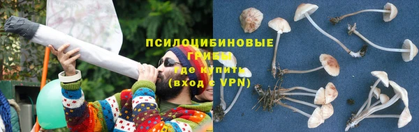 эйфоретик Магадан