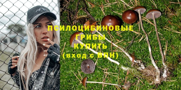 герыч Майский