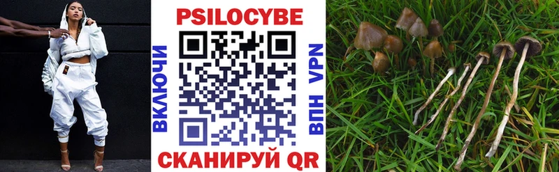 Псилоцибиновые грибы Psilocybe Лебедянь